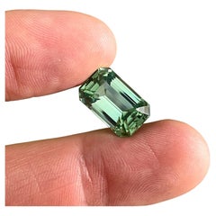 Natural Tourmaline loose gemstone 11.71 ct. Octagon cut, Certificate, Mint Green