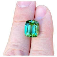 Tormalina naturale sciolta 12,24 ct, taglio a cuscino Afghanistan, Certificato