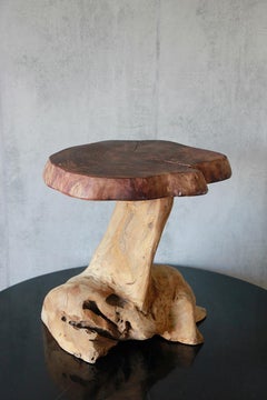 Natural Tree Stump Side Table made from solid cedar roots.