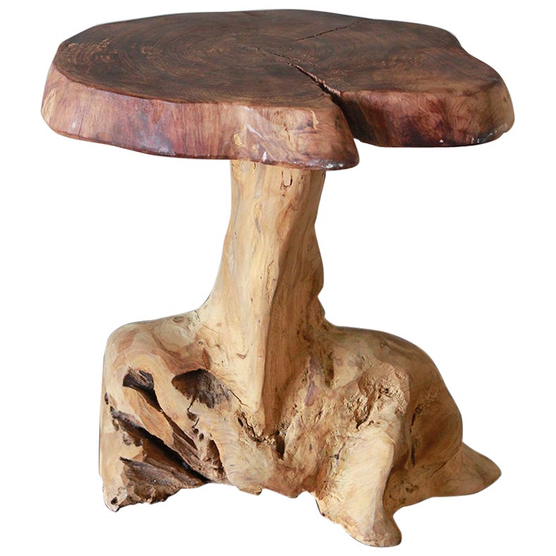 Natural Tree Stump Side Table made from solid cedar roots. For Sale