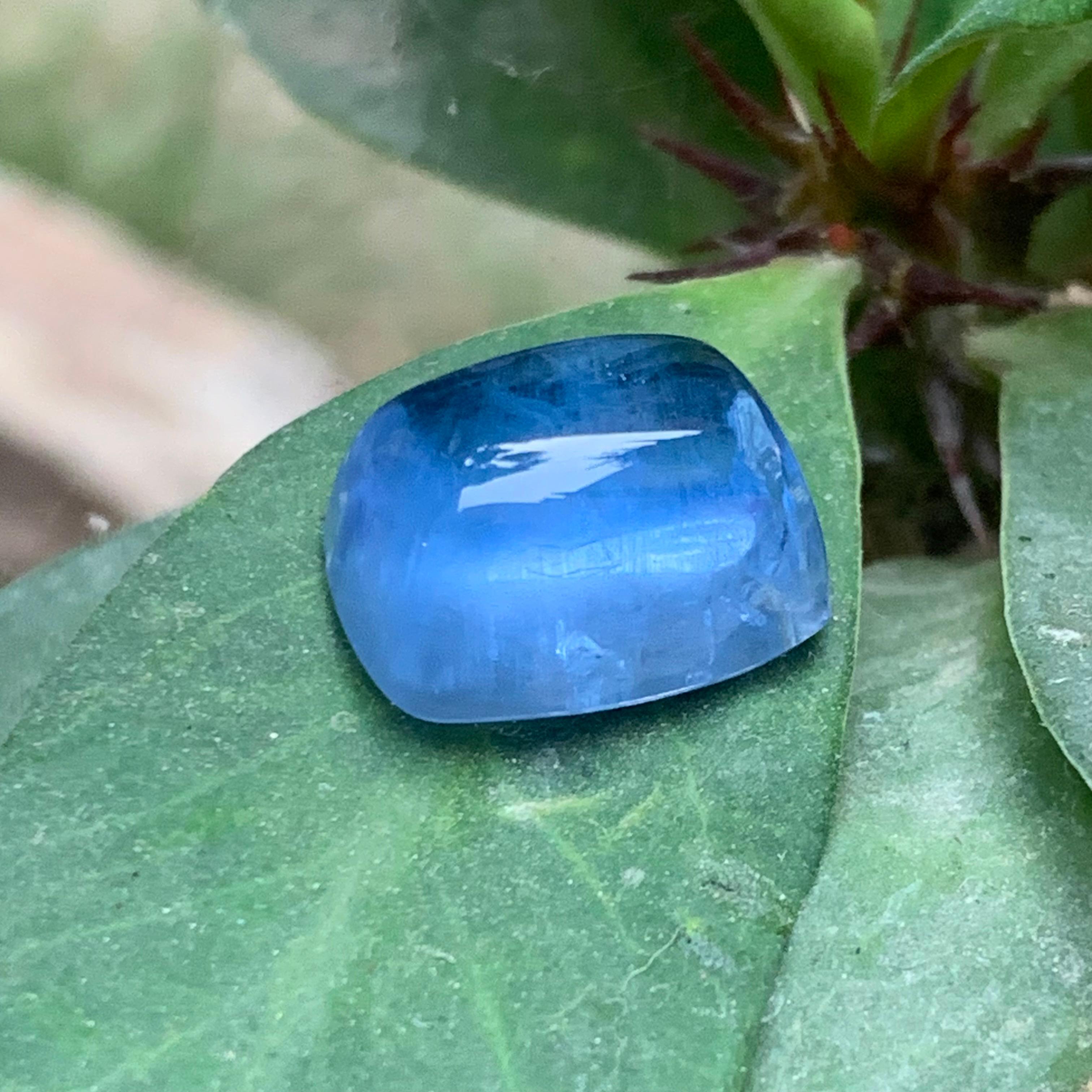 Cabujón de aguamarina natural de color azul intenso para anillo, colgante o cualquier otro adorno de joyería procedente de Afganistán.

💎 TIPO DE GEMA: Aguamarina 
⚖️ PESO: 12,67 Quilates
🪚 FORMA Y TALLADO: Cabujón
📏 TAMAÑO (MM): 14,88 x 12,11 x