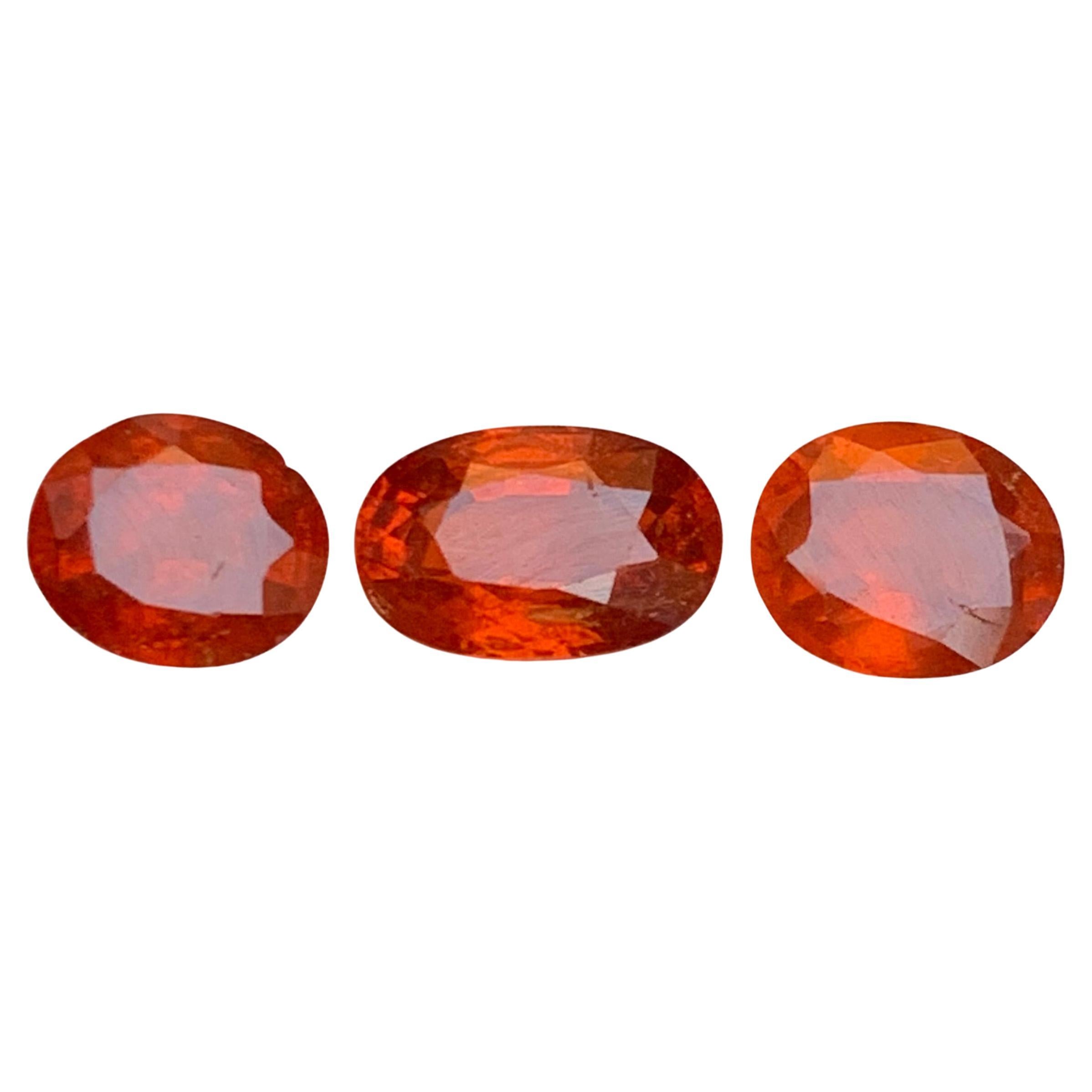 Natural Vivid Orange Hessonite Garnet 5.34 Carat Oval Cut Loose Gemstones Parcel For Sale