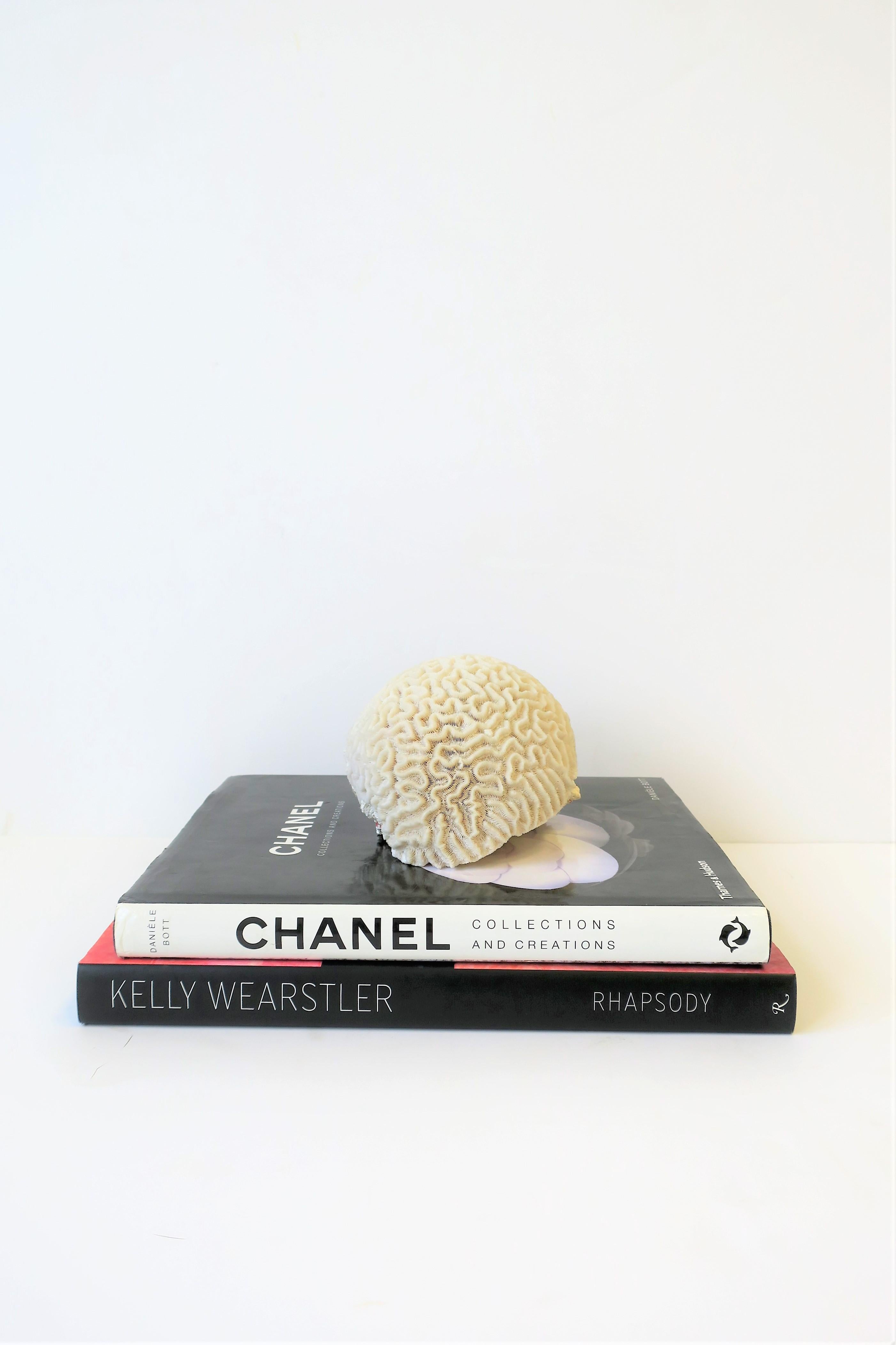 how much is brain coral worth
