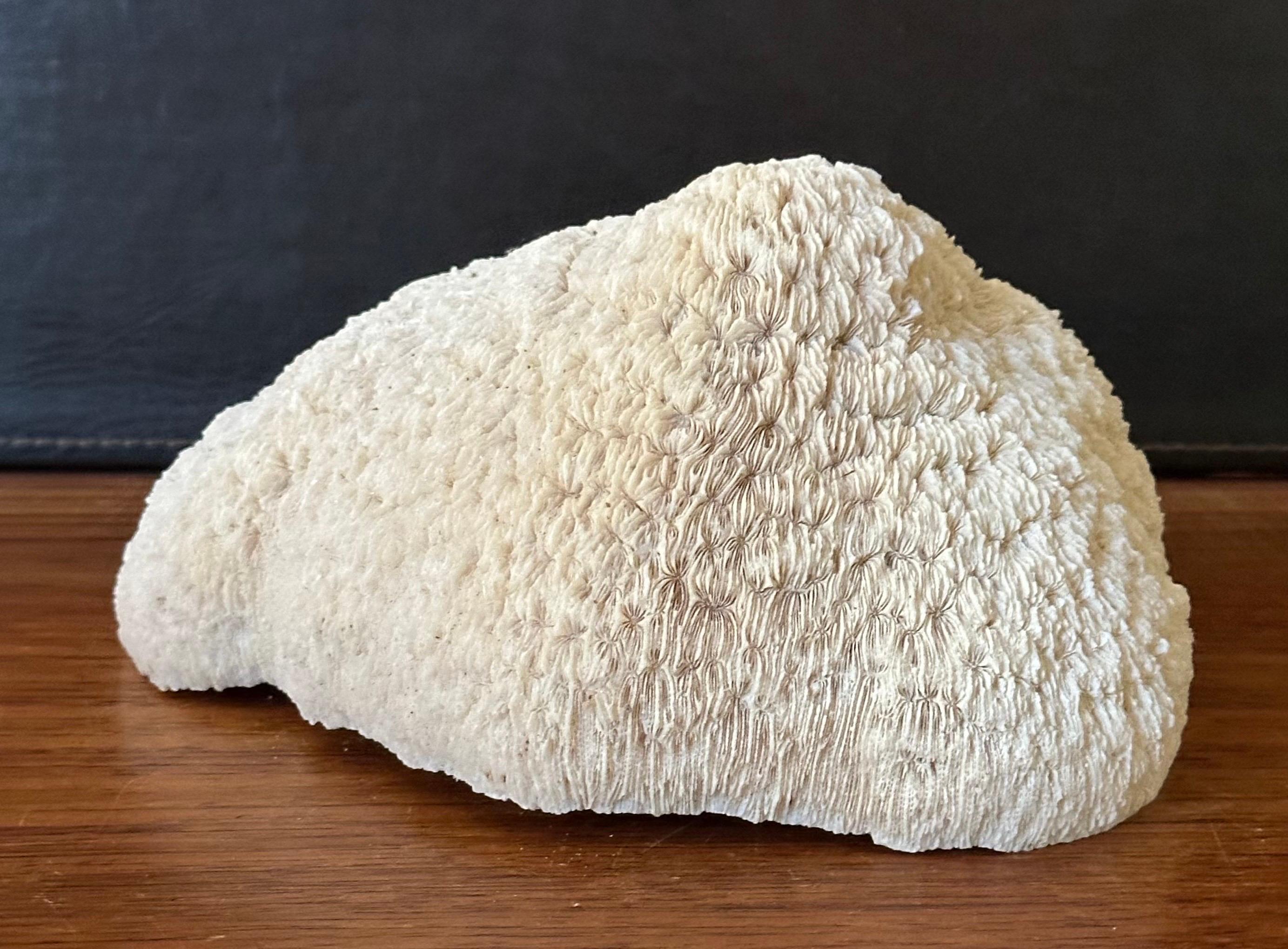 Natural White 