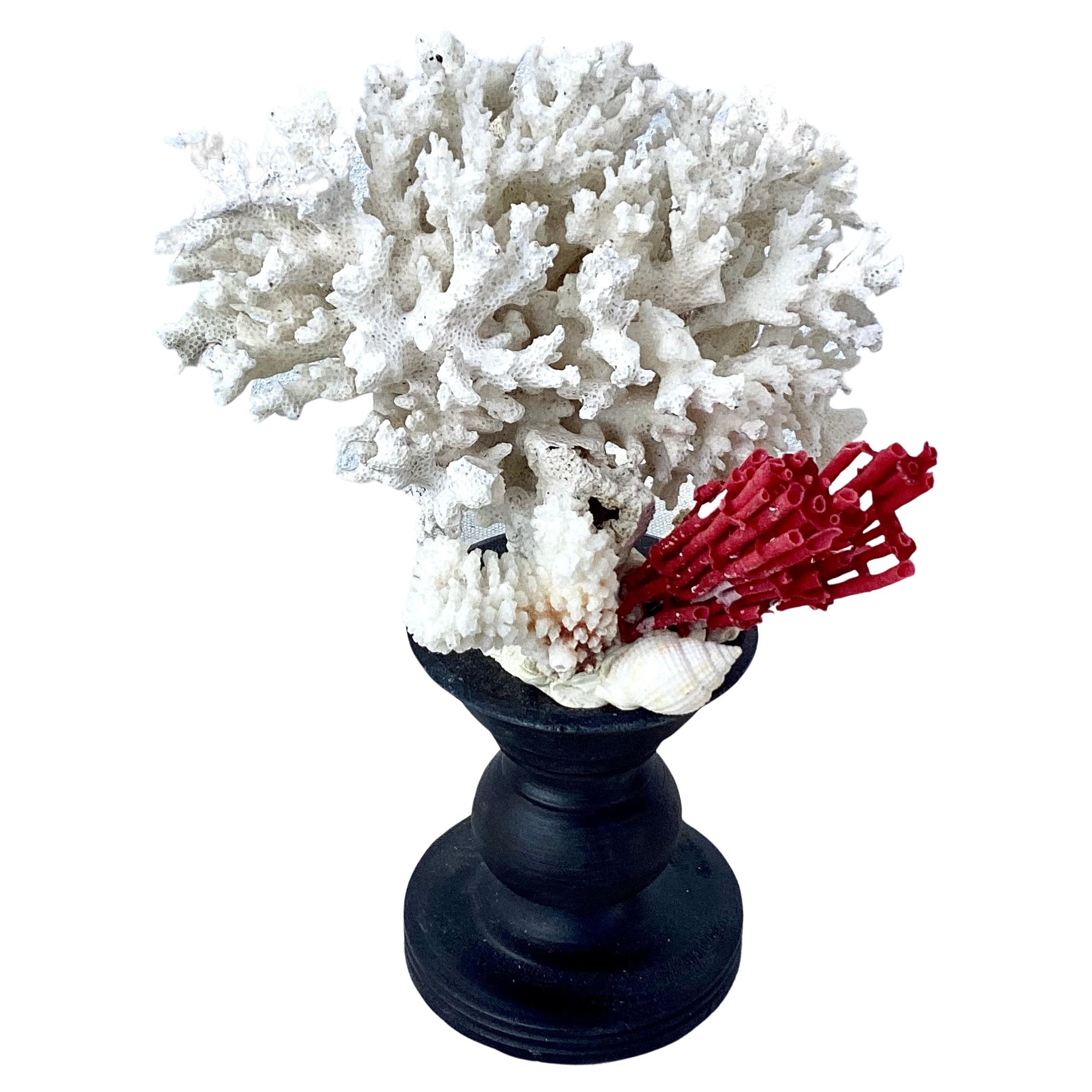 Eine handgefertigte Skulptur aus natürlichen weißen und roten Korallenzweigen auf einem schwarzen Sockel.