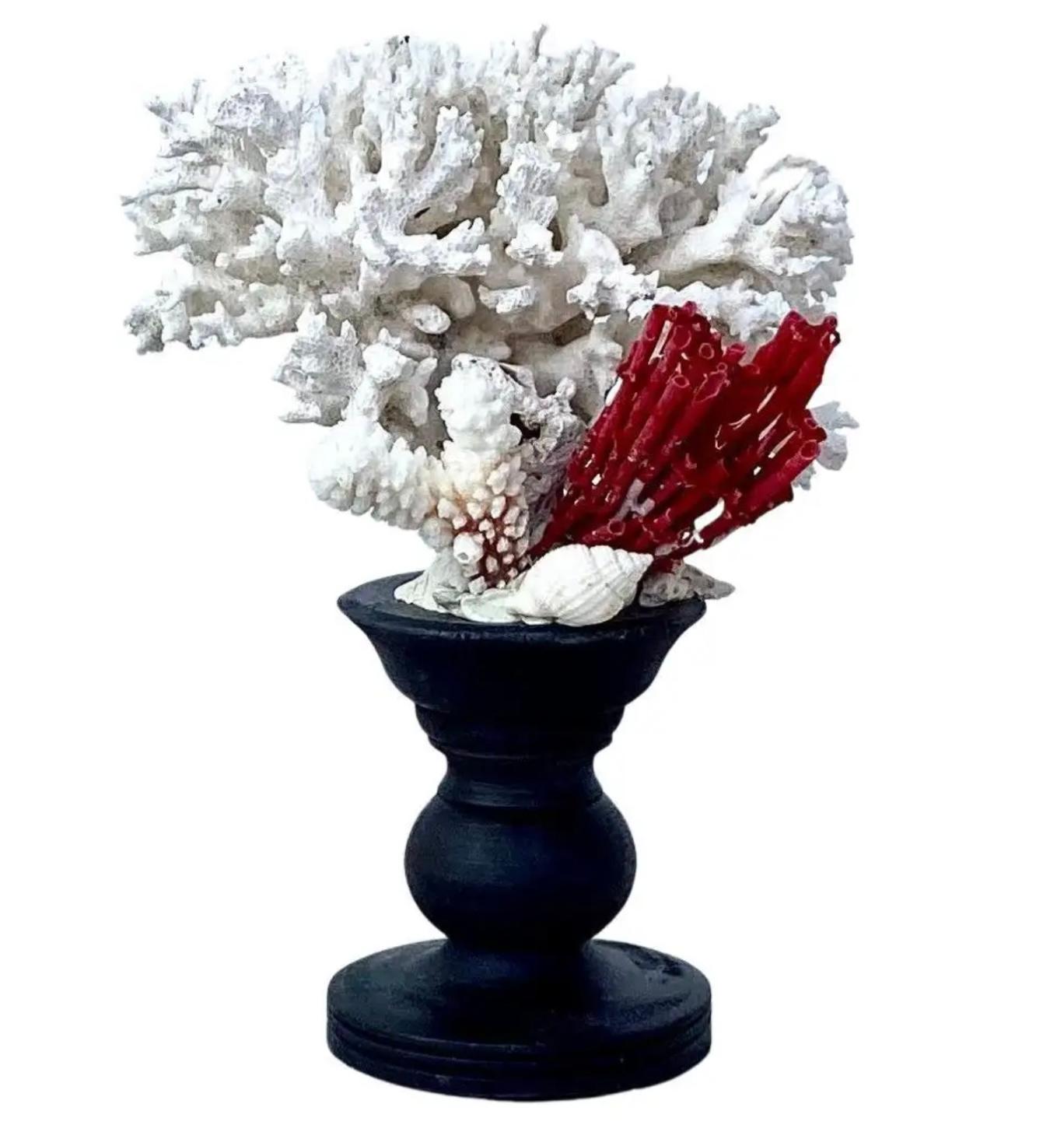 20th Century Natural White Coral Mounted on Black Wood Pedestal For Sale