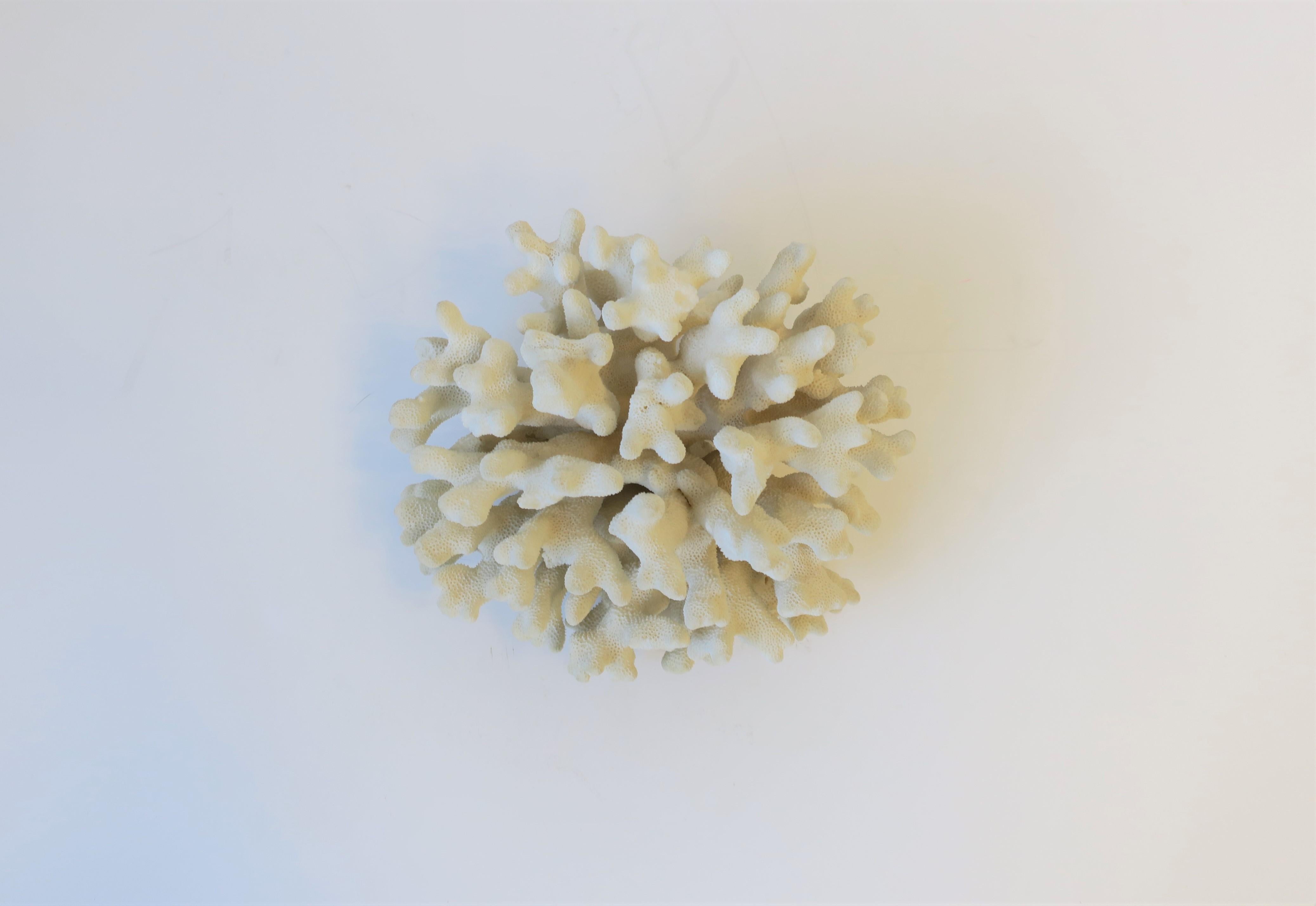 Coral Piece Natural White In Good Condition In New York, NY
