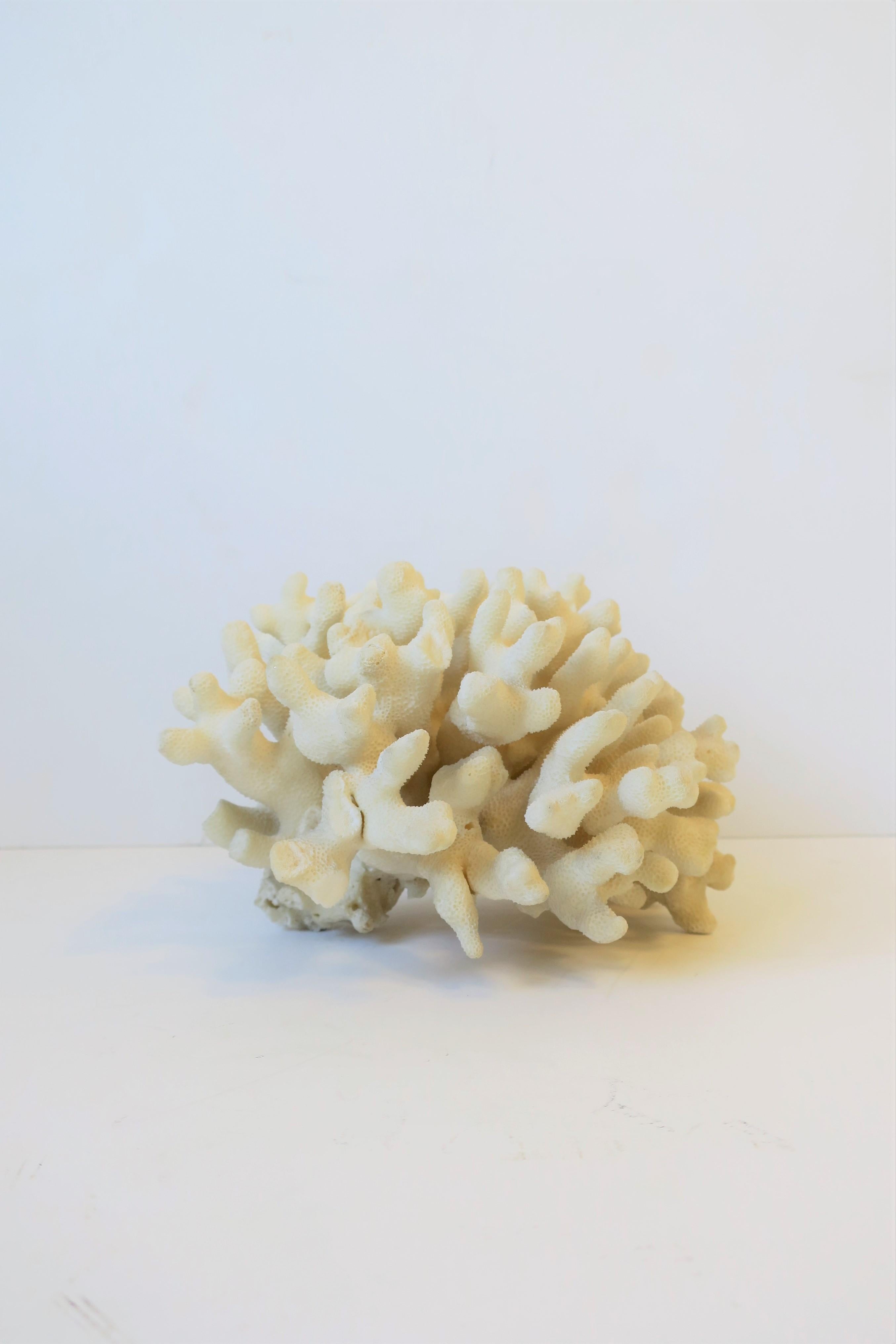 Coral Piece Natural White 1