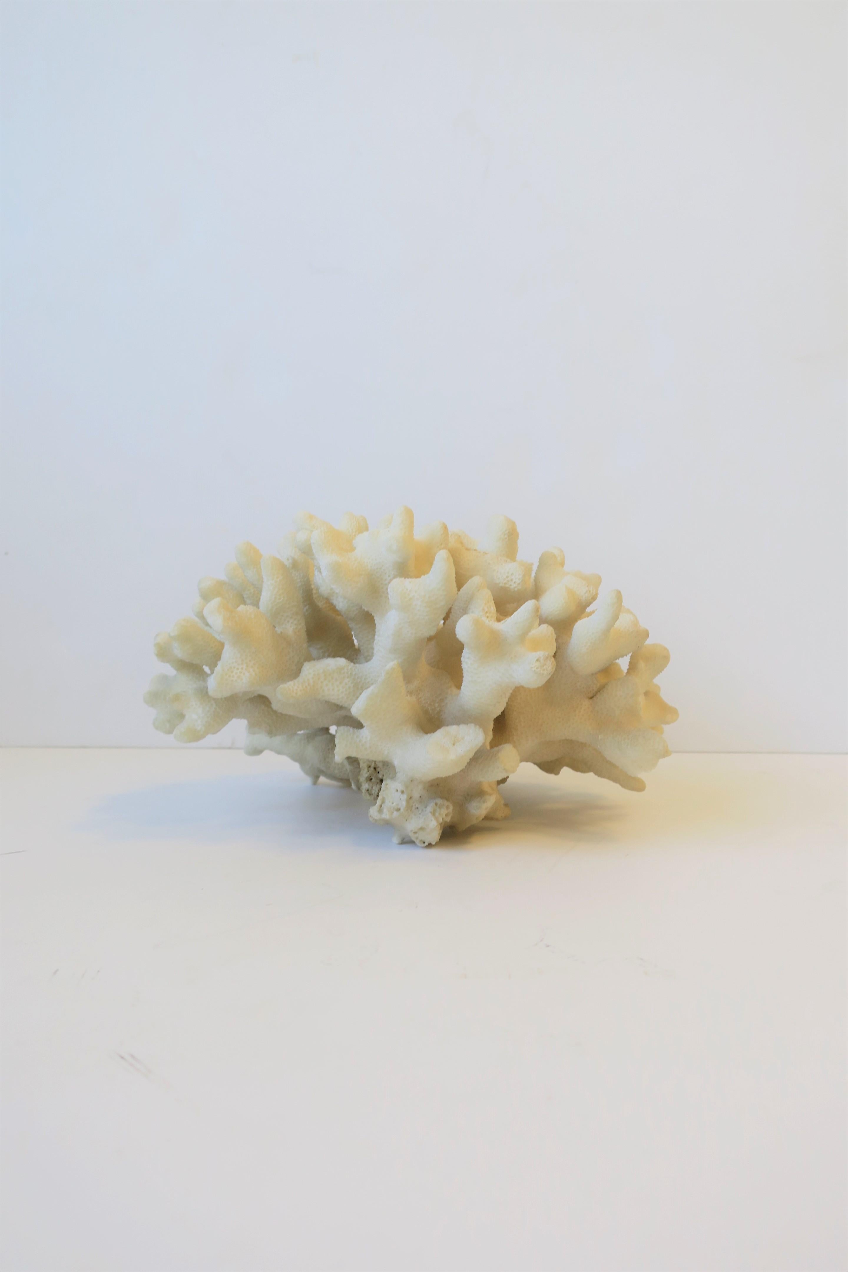 Coral Piece Natural White 2
