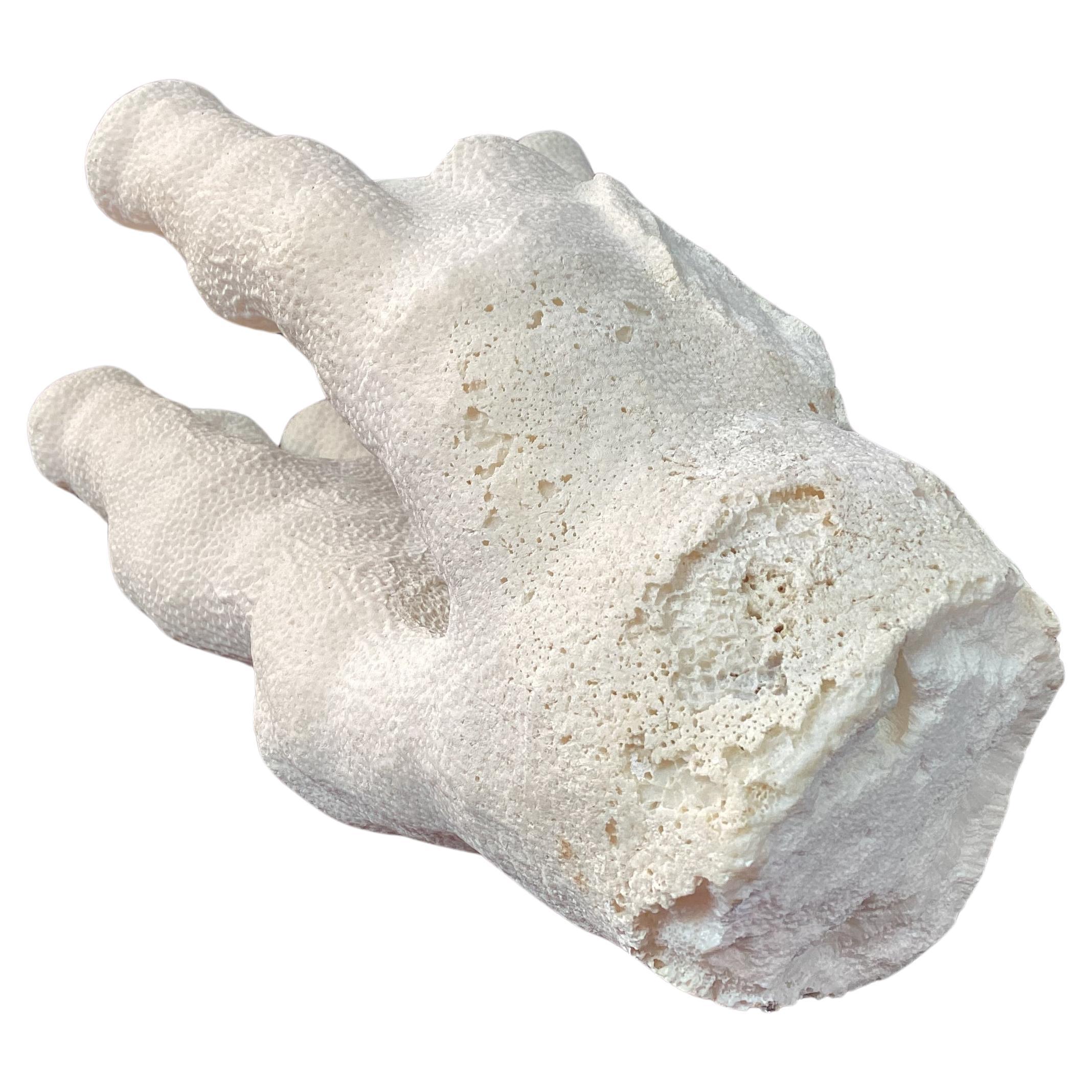 20th Century Natural White Coral Reef Specimen     #1 For Sale