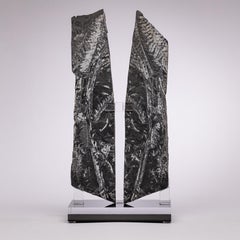 Natural White Fern Fossil from St. Clair Pennsylvania in a Acrylic Custom Stand