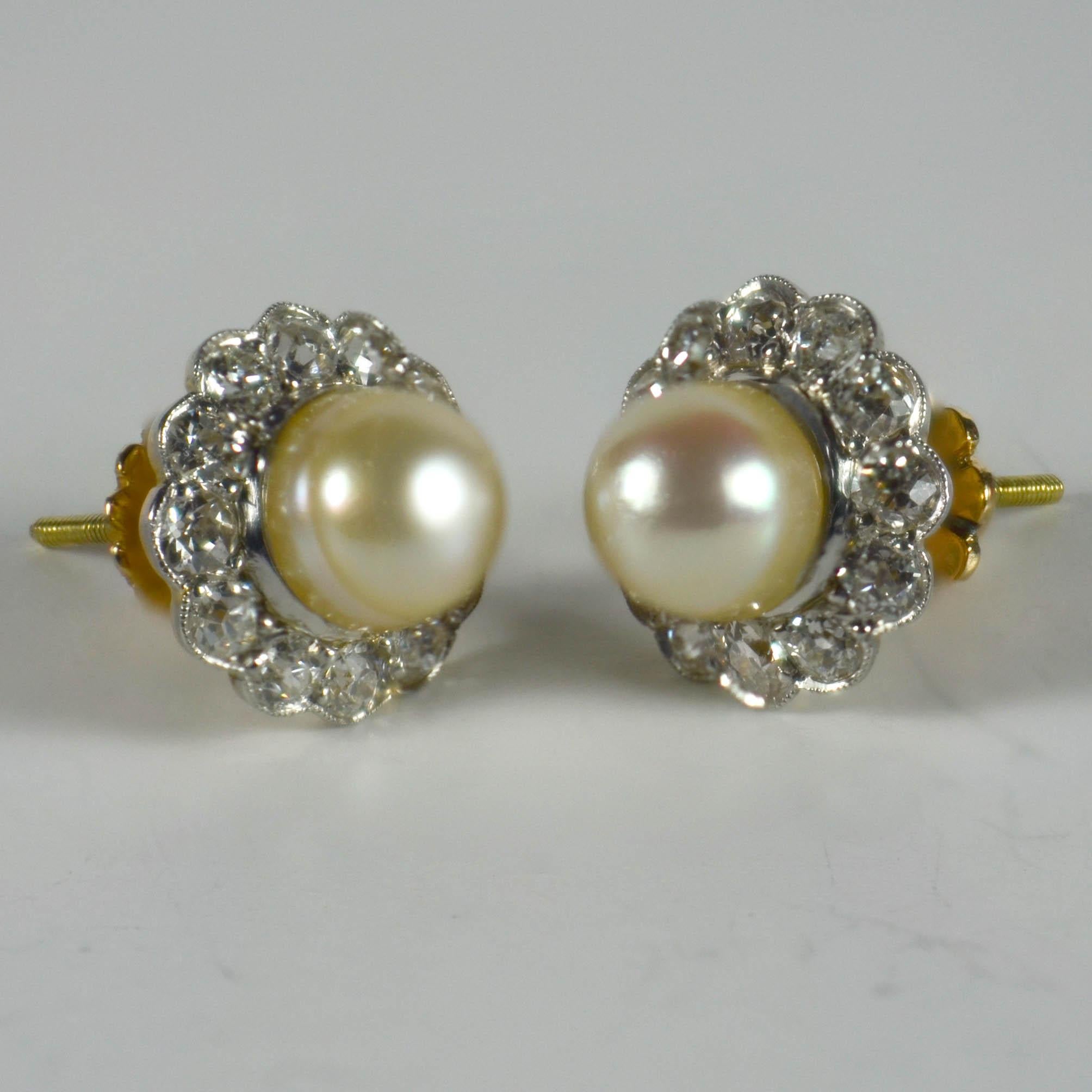 Edwardian Natural White Pearl Diamond Cluster Stud Earrings