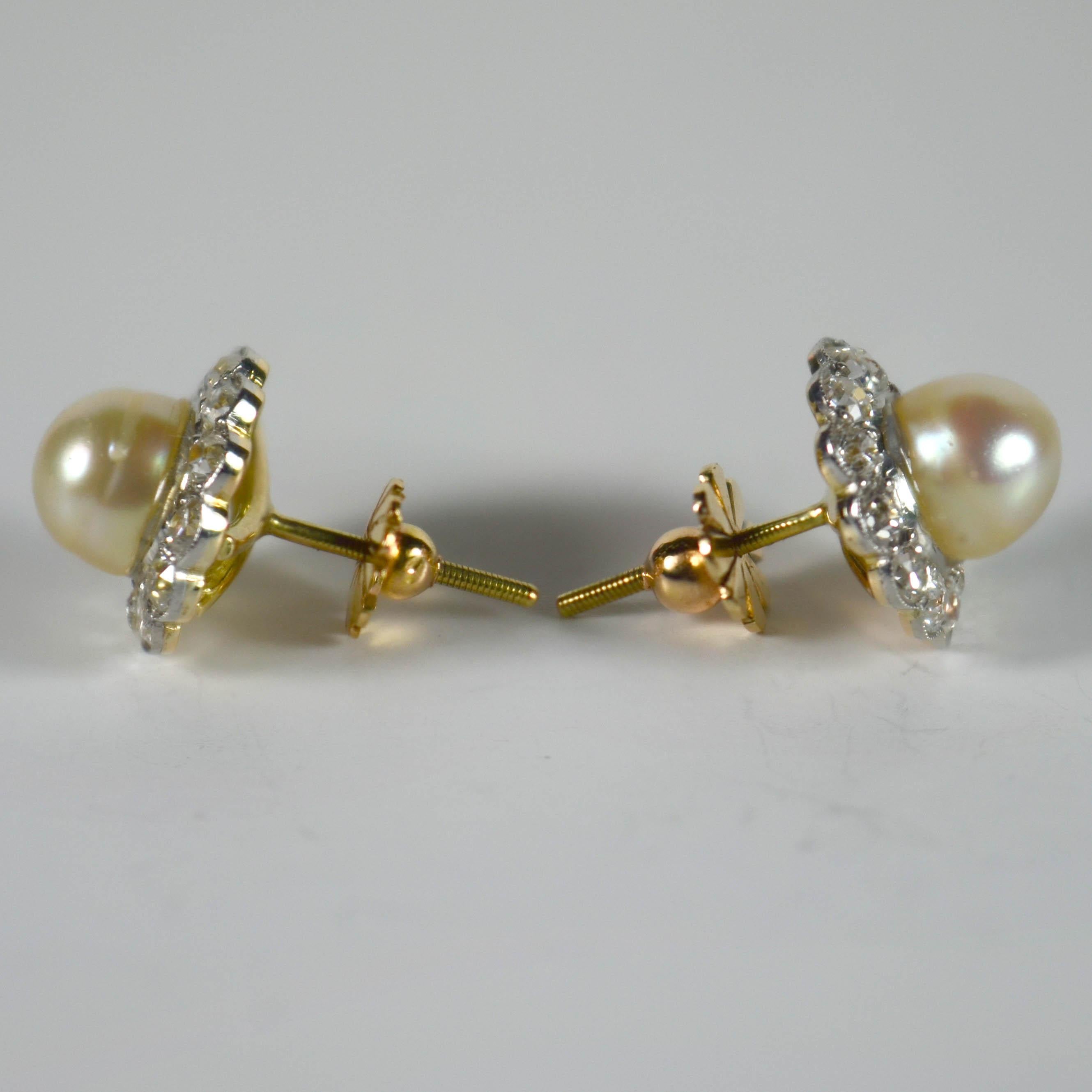 Natural White Pearl Diamond Cluster Stud Earrings 2