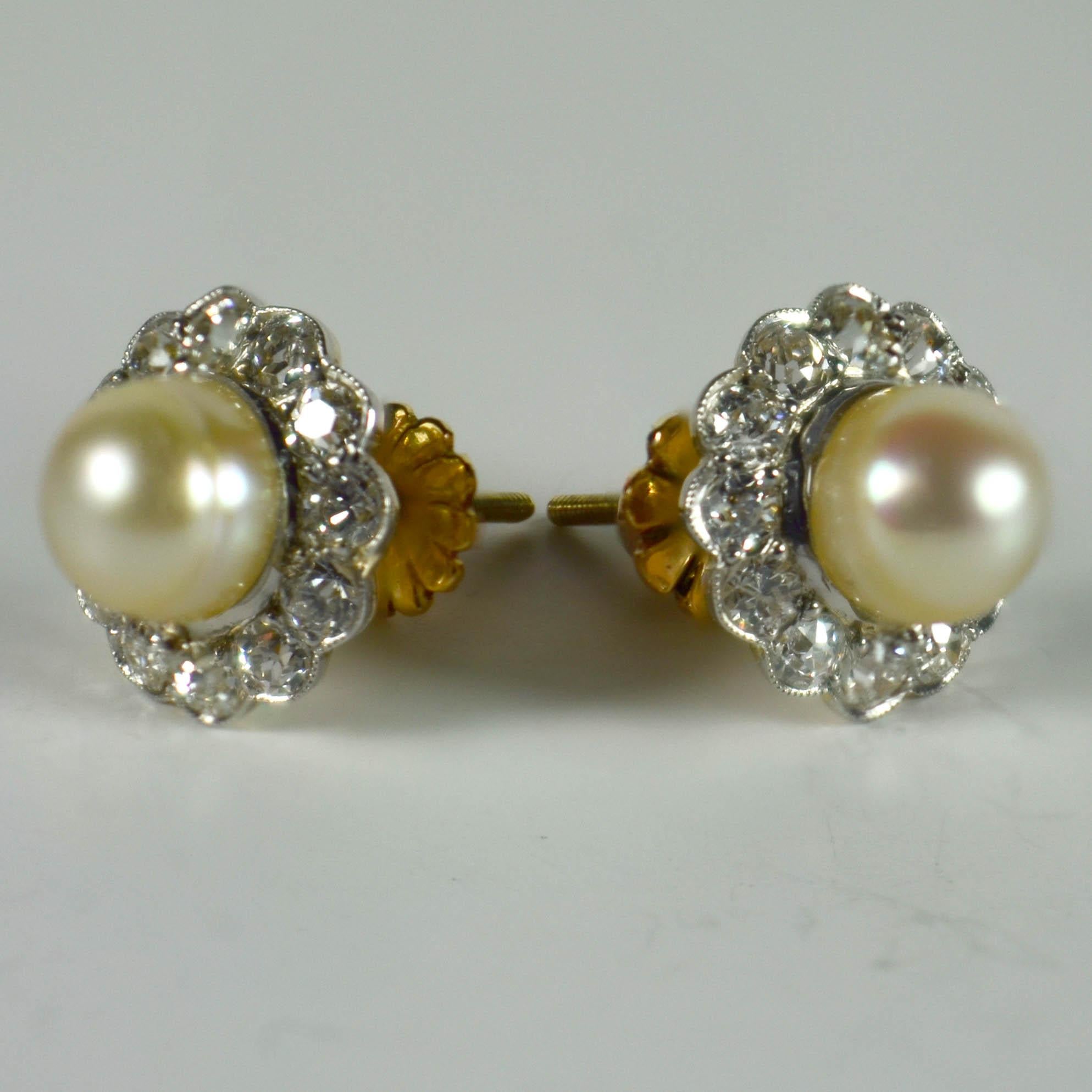 Natural White Pearl Diamond Cluster Stud Earrings 3