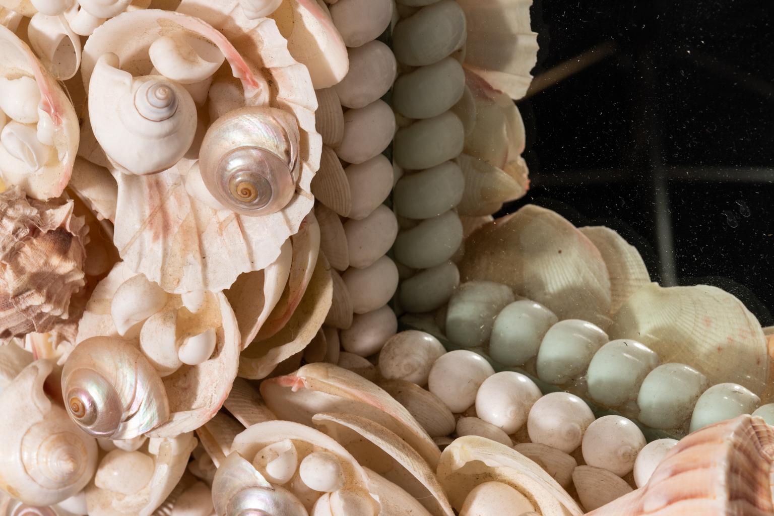 Natural shell and coral mirror composed of different specimens shapes and sizes.
 
