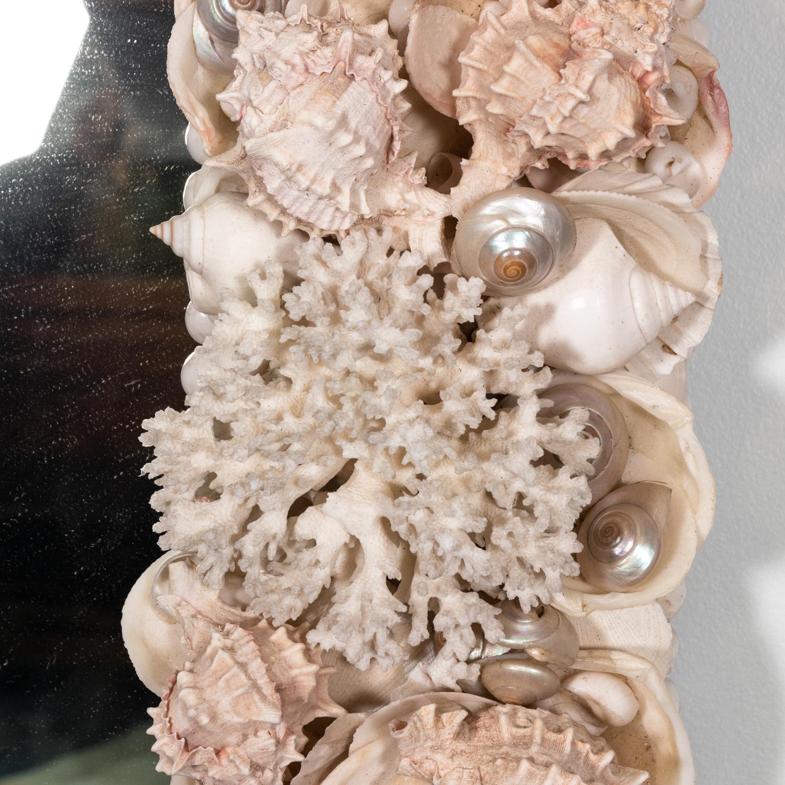 Natural White Shell and Coral Mirror 3