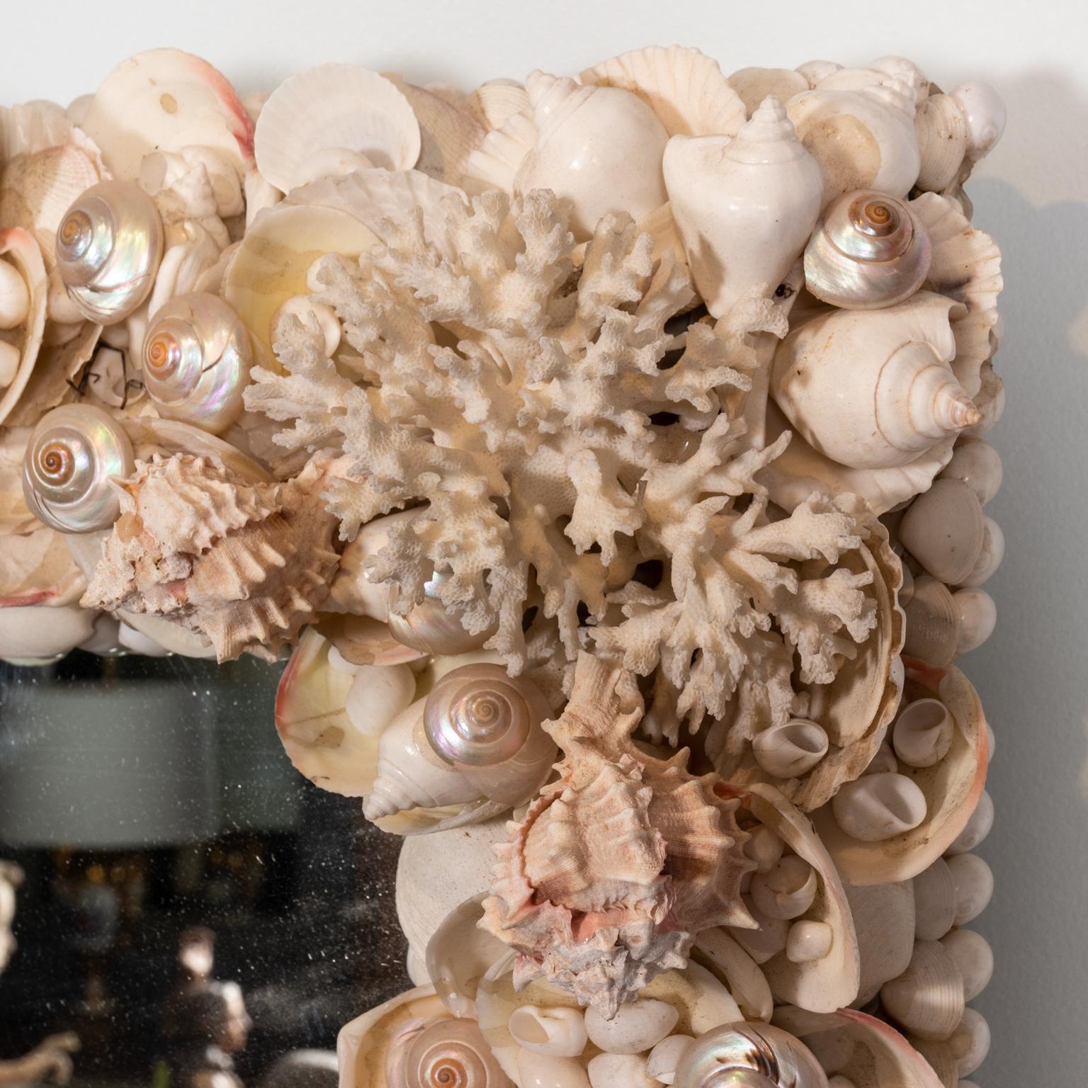 Natural White Shell and Coral Mirror 5