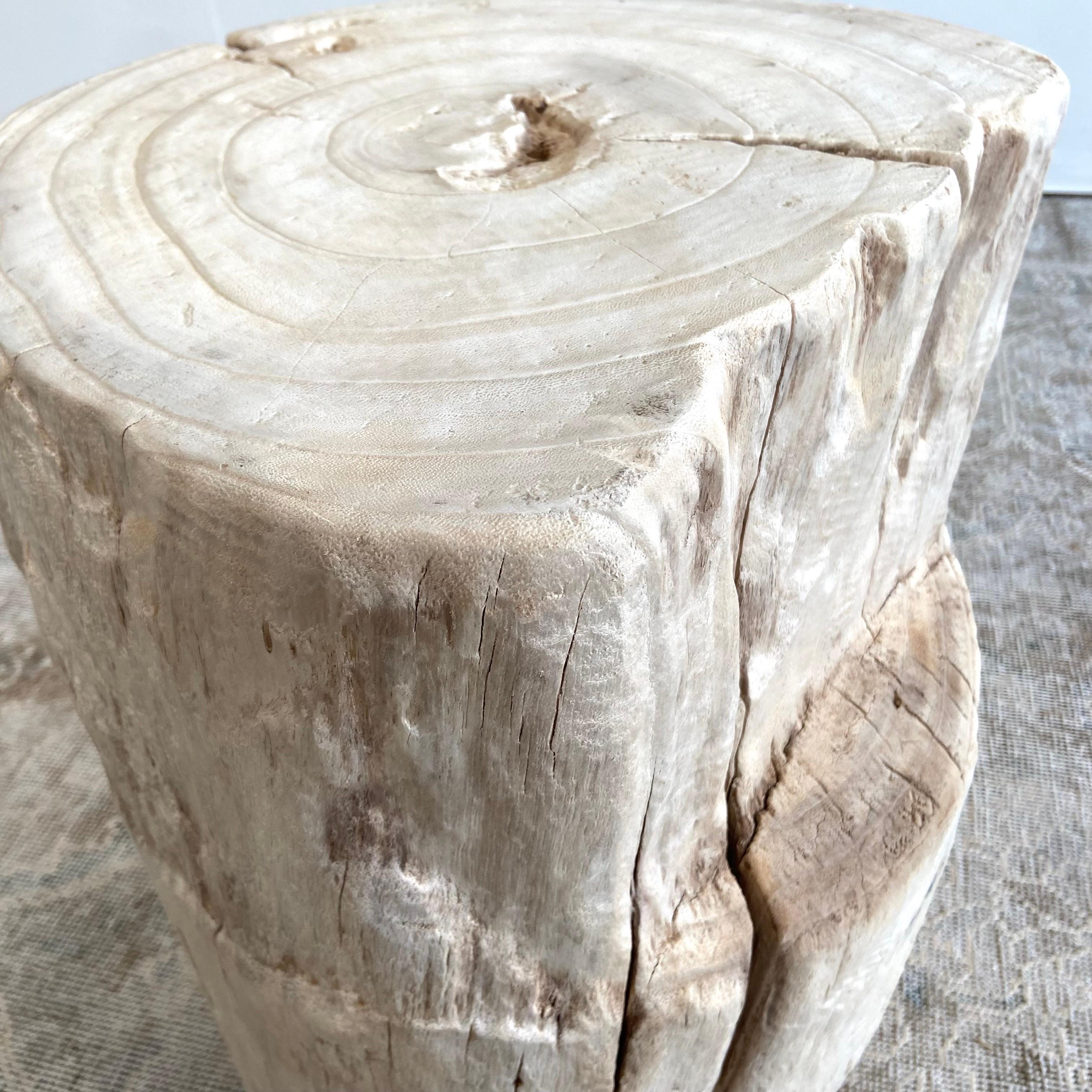 Natural Wood Stump Side Table or Stool For Sale 5