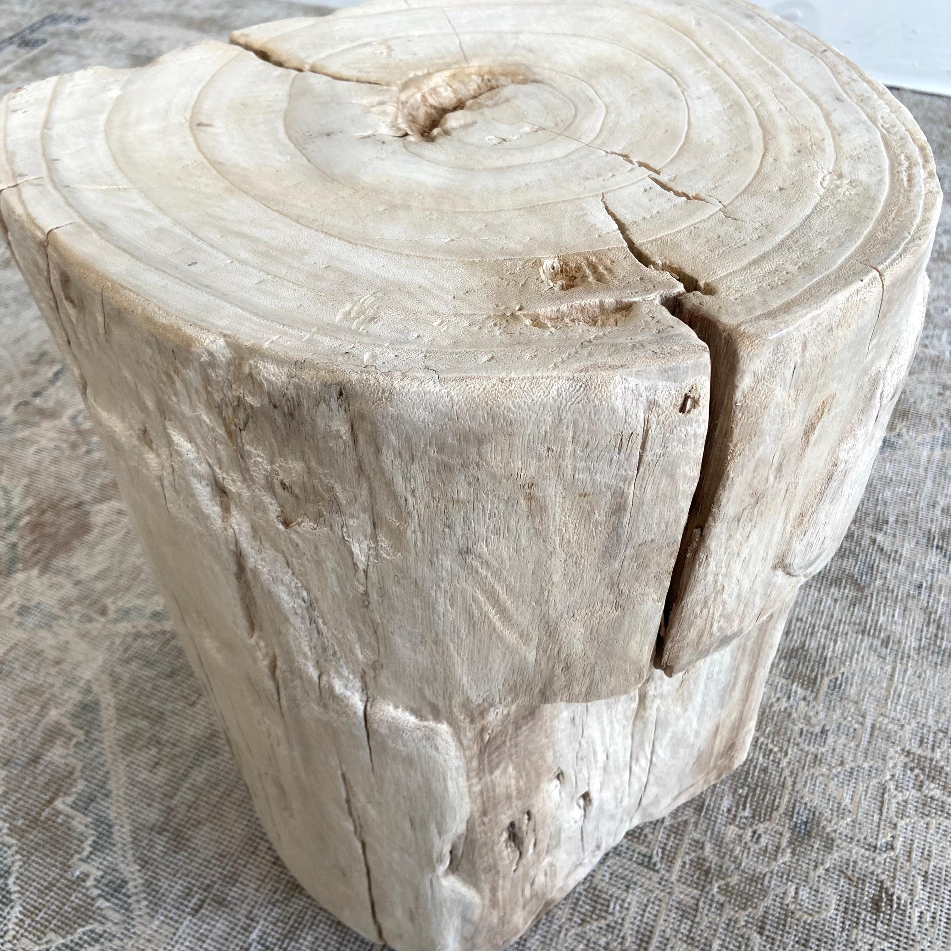 Natural Wood Stump Side Table or Stool For Sale 4