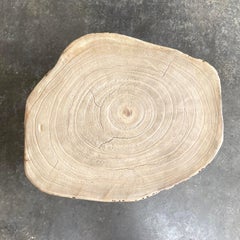 Natural Wood Stump Side Table or Stool