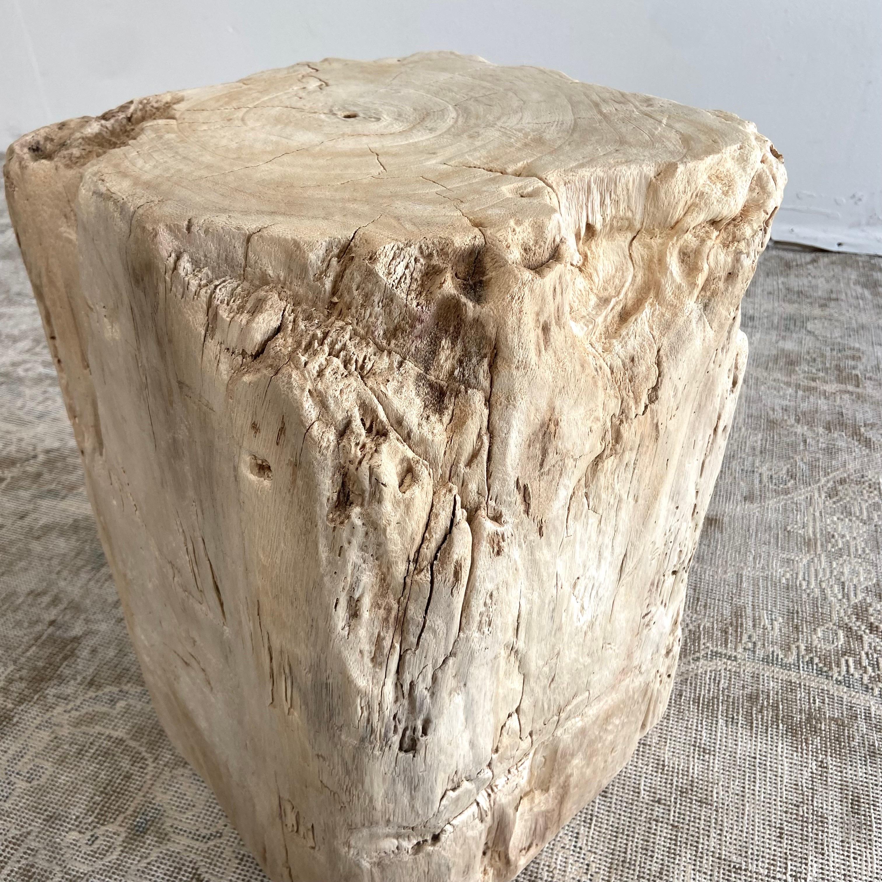 Natural Wood Stump Side Table or Stool 2