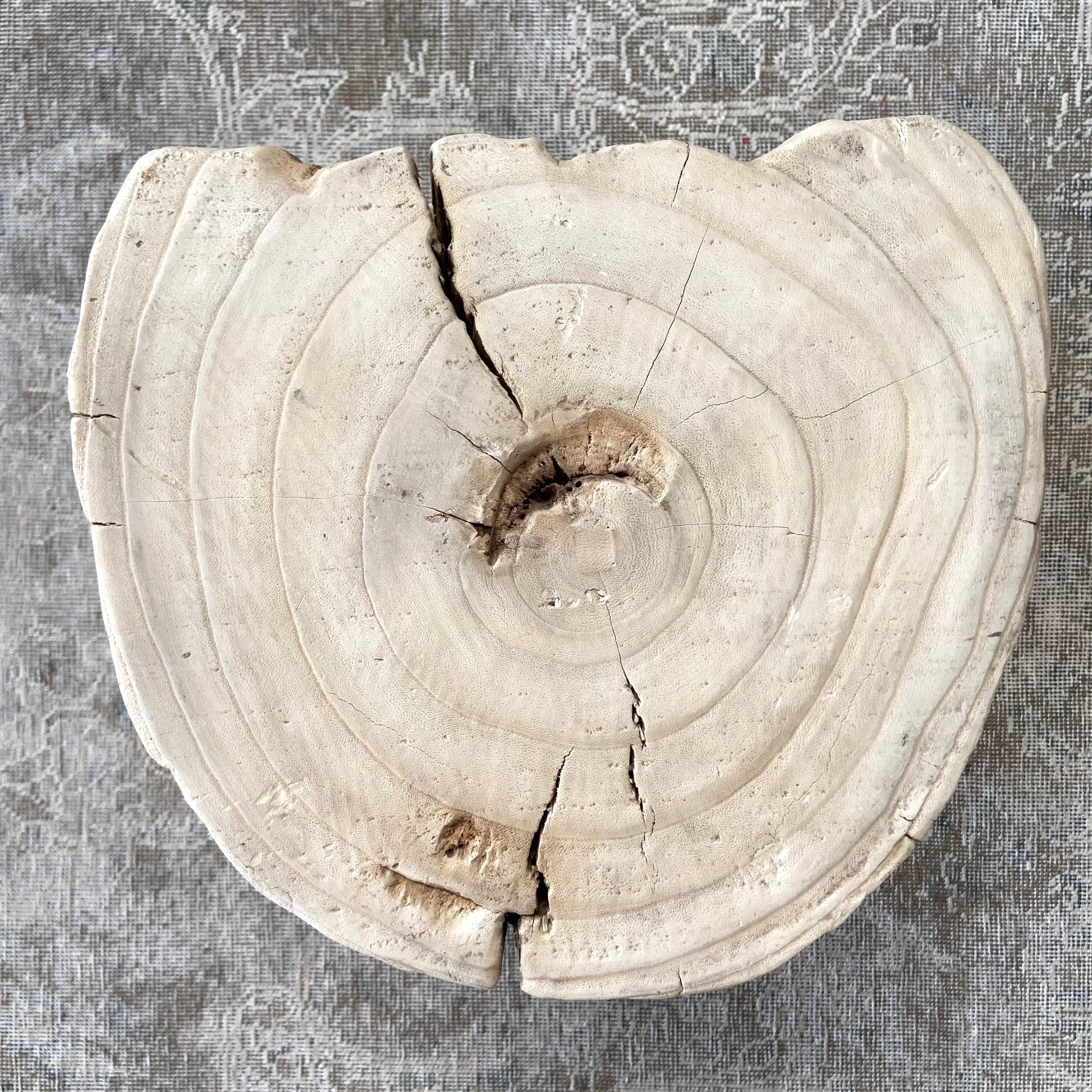 Natural Wood Stump Side Table or Stool 1