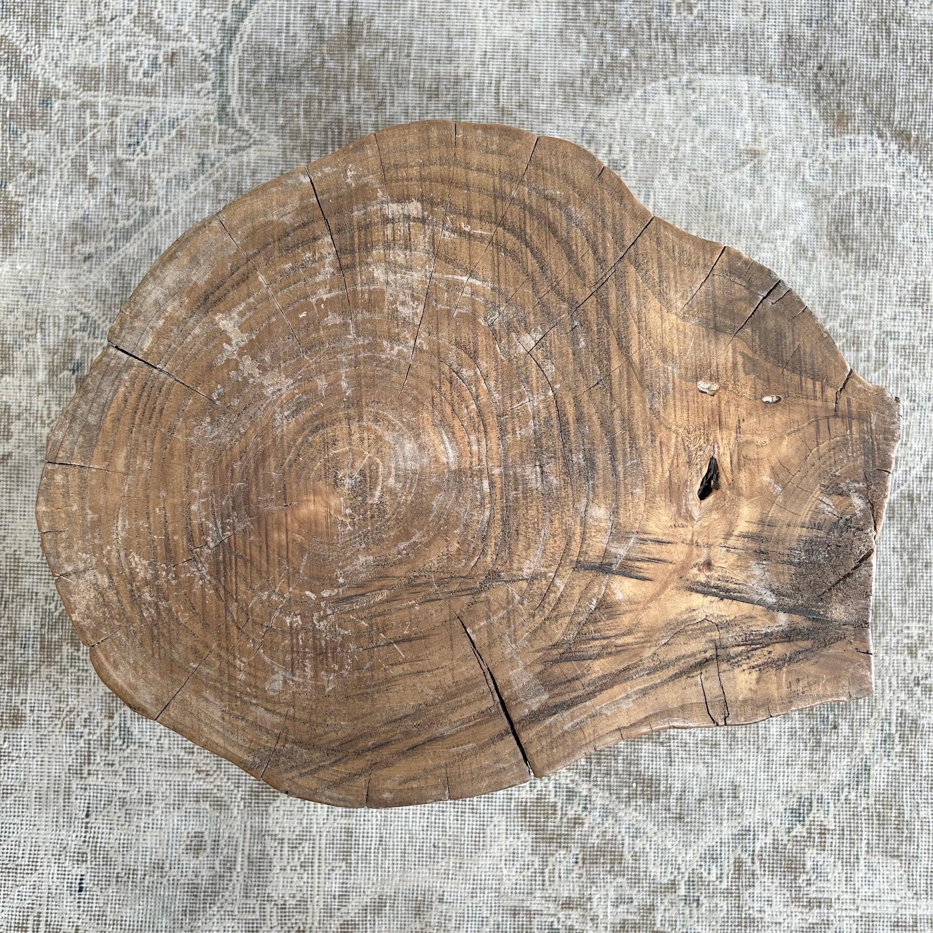 Natural Wood Stump Side Table or Stool 3