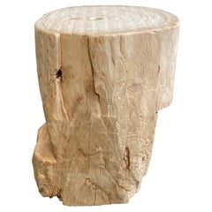 Natural Wood Stump Side Table or Stool