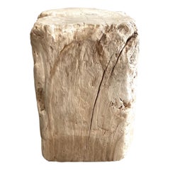 Natural Wood Stump Side Table or Stool