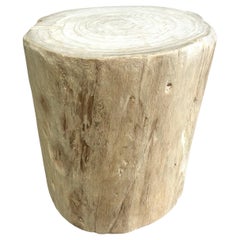 Natural Wood Stump Side Table or Stool