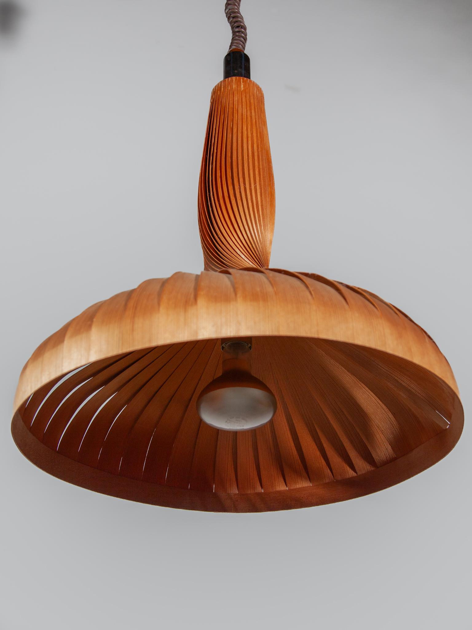 Natural Wooden Lamp by Hans-Agne Jakobsson for AB Ellysett Markaryd, Sweden. For Sale 2