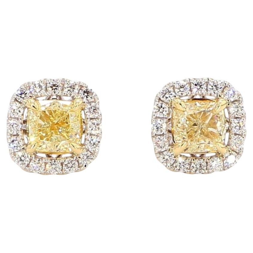 Orecchini a perno in oro giallo naturale con cuscino e diamante bianco da 1.66 carati TW