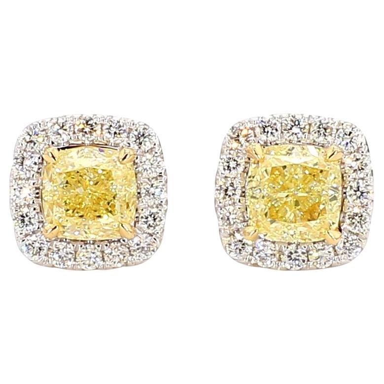 Natürlicher gelber Diamant im Kissenschliff 1.75 Karat TW Gold-Ohrstecker