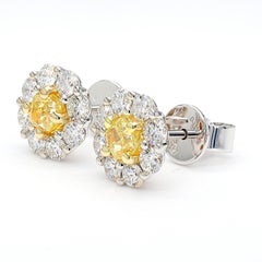 Natural Yellow Cushion Diamond 1.97 Carat TW Gold Stud Earrings