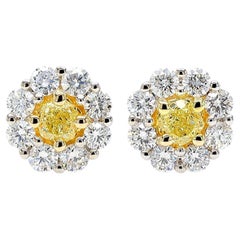 Natural Yellow Cushion Diamond 1.97 Carat TW Gold Stud Earrings