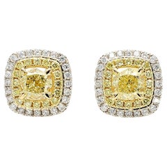 Stud Earrings