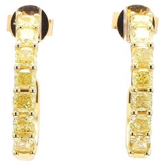 Drop Earrings