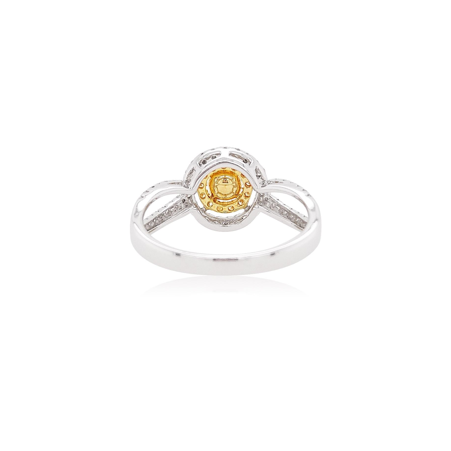 This elegant 18K gold ring features a lustrous natural Yellow Diamond at its centre, with delicate halos of yellow diamonds and white diamonds surrounding it. Set in 18 Karat white and yellow gold to enrich the spectacular hues of the centre