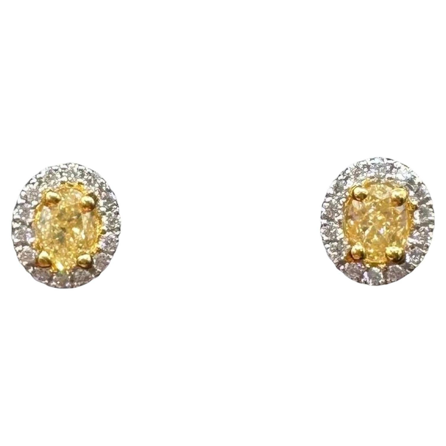 Natural Yellow Diamond Stud Earrings 14kt Two Tone Gold 0.50ctw VS SI New