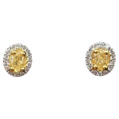 Natural Yellow Diamond Stud Earrings 14kt Two Tone Gold 0.50ctw VS SI New