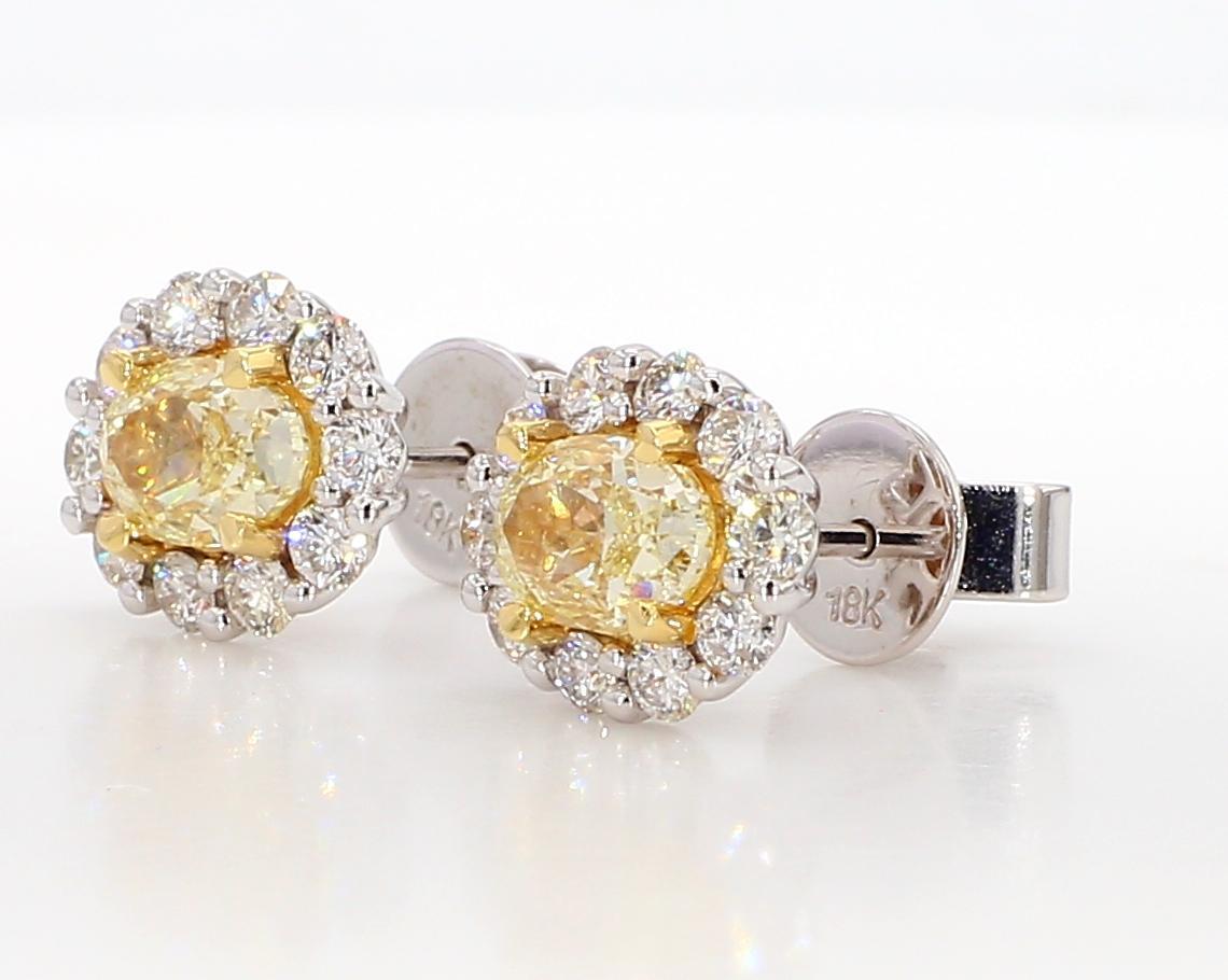 Les magnifiques boucles d'oreilles en diamant de Raregemworld. Monté dans une belle monture en or jaune et blanc 18 carats avec des diamants jaunes naturels de taille ovale. Les diamants jaunes sont entourés d'un halo de petits diamants ronds