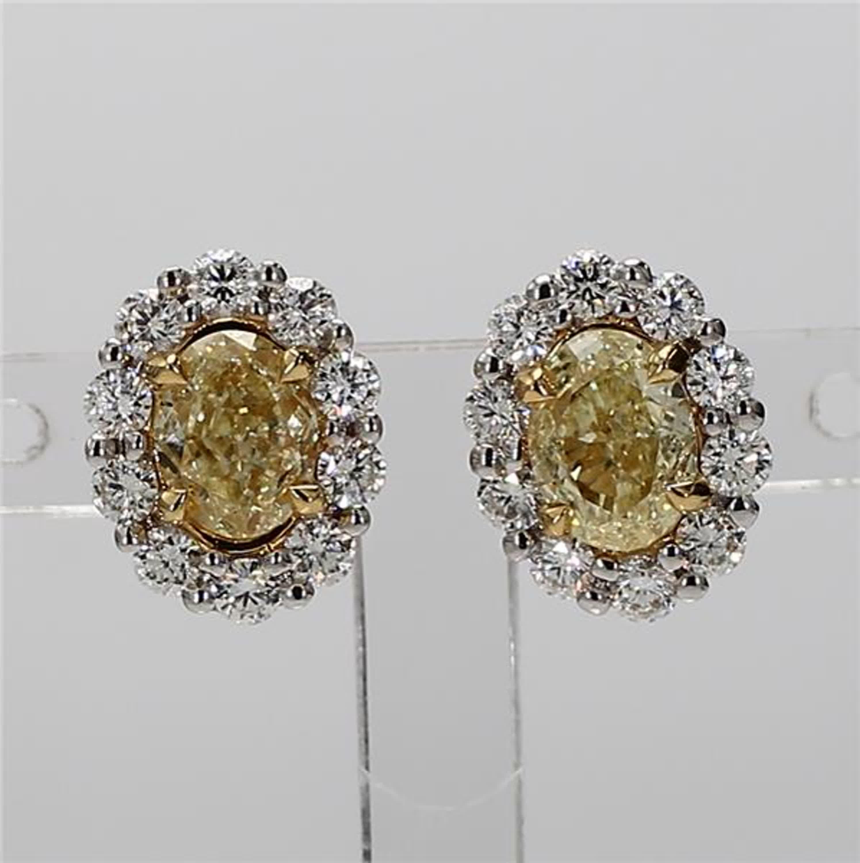 RareGemWorld's classic diamond earrings. Mounted in a beautiful 18K Yellow and White Gold setting with natural oval cut yellow diamonds. The yellow diamonds are surrounded by a halo of small round natural white diamond melee. These earrings are