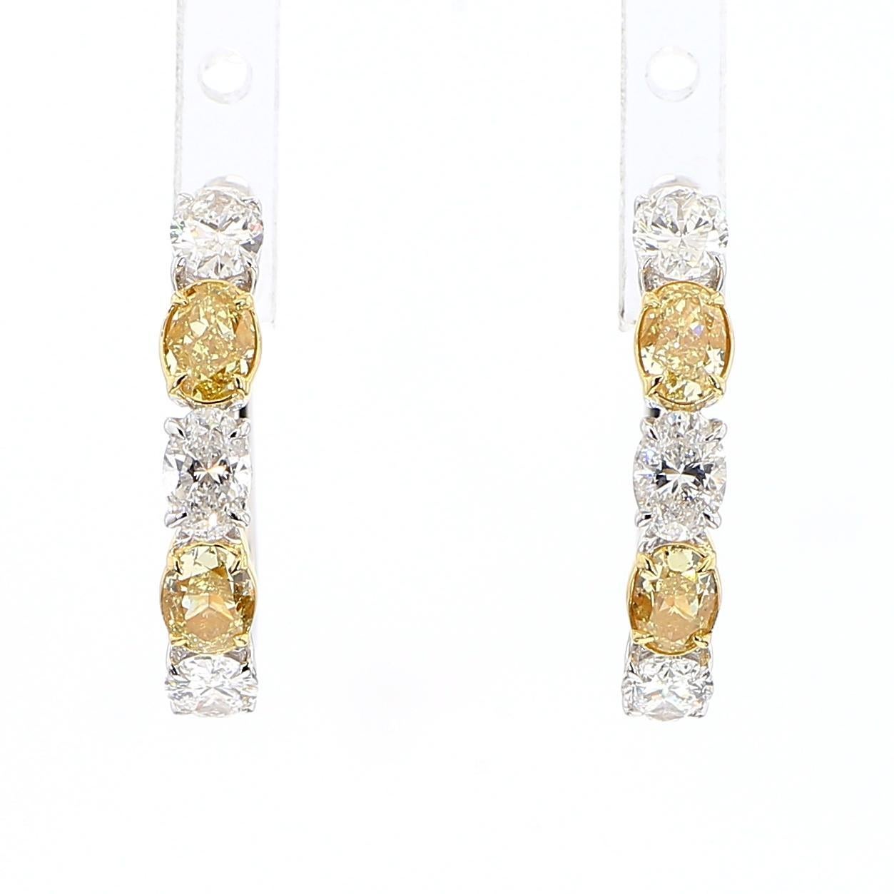 Natürlicher gelber ovaler Diamant 2.13 Karat TW Gold Creolen (Zeitgenössisch) im Angebot