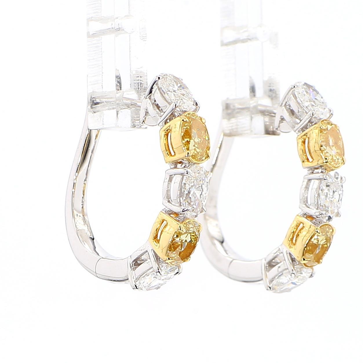 Natürlicher gelber ovaler Diamant 2.13 Karat TW Gold Creolen (Ovalschliff) im Angebot