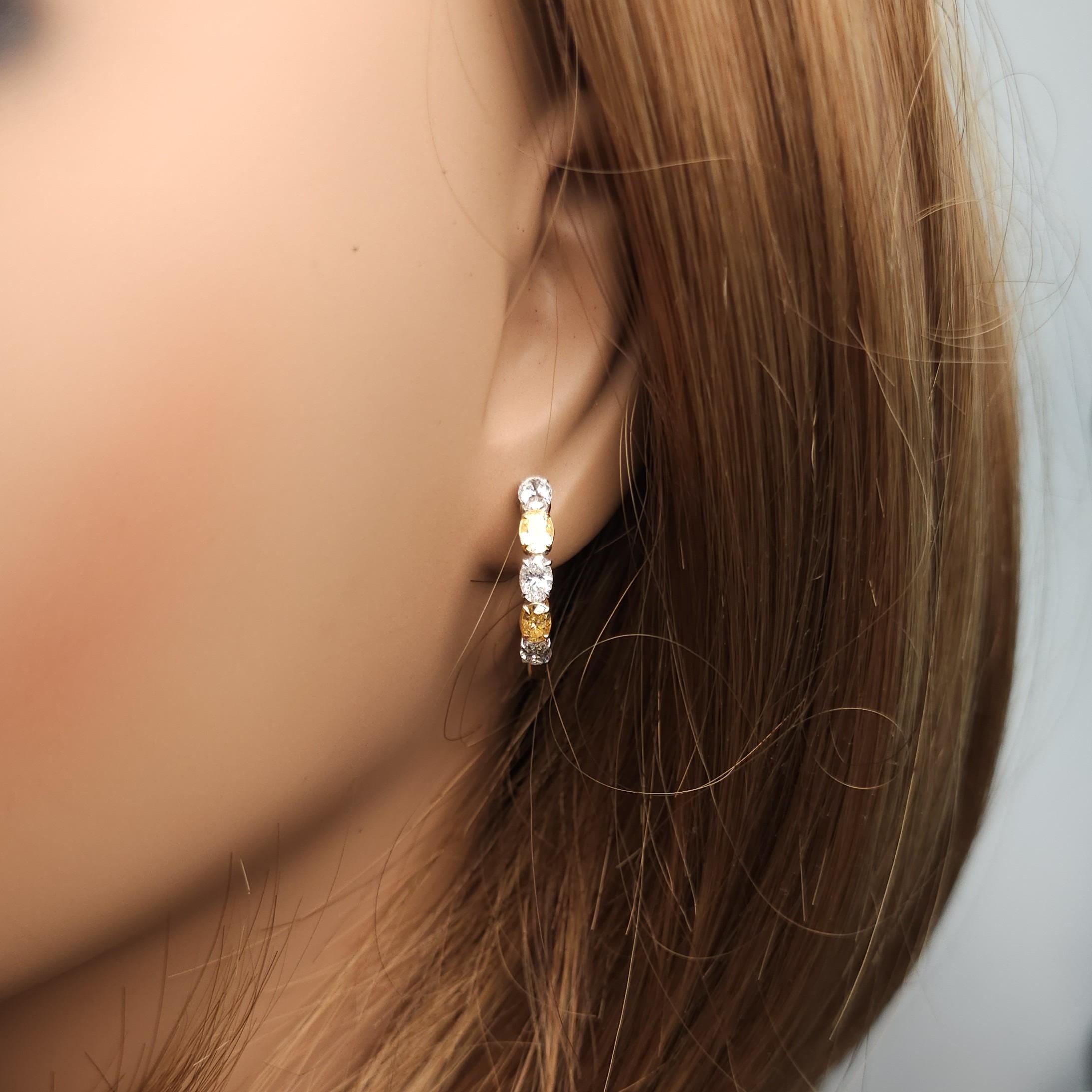 Natürlicher gelber ovaler Diamant 2.13 Karat TW Gold Creolen im Zustand „Neu“ im Angebot in New York, NY