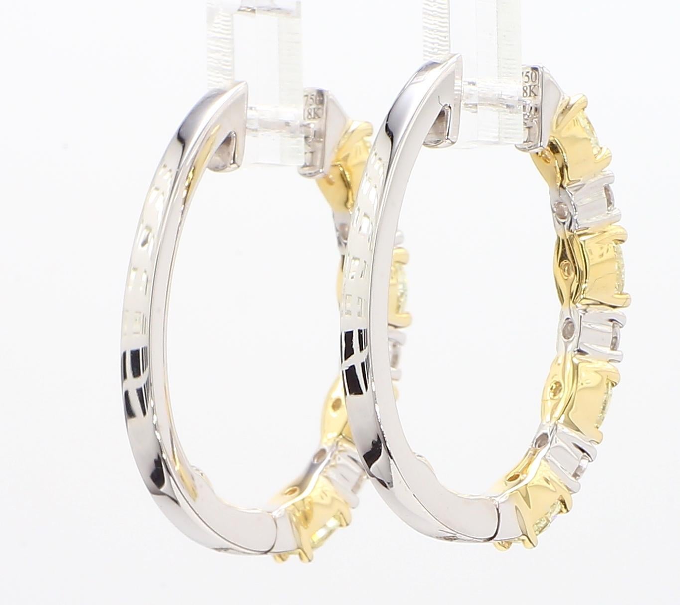 Créoles en or jaune naturel ovale de 2,40 carats poids total en vente 1