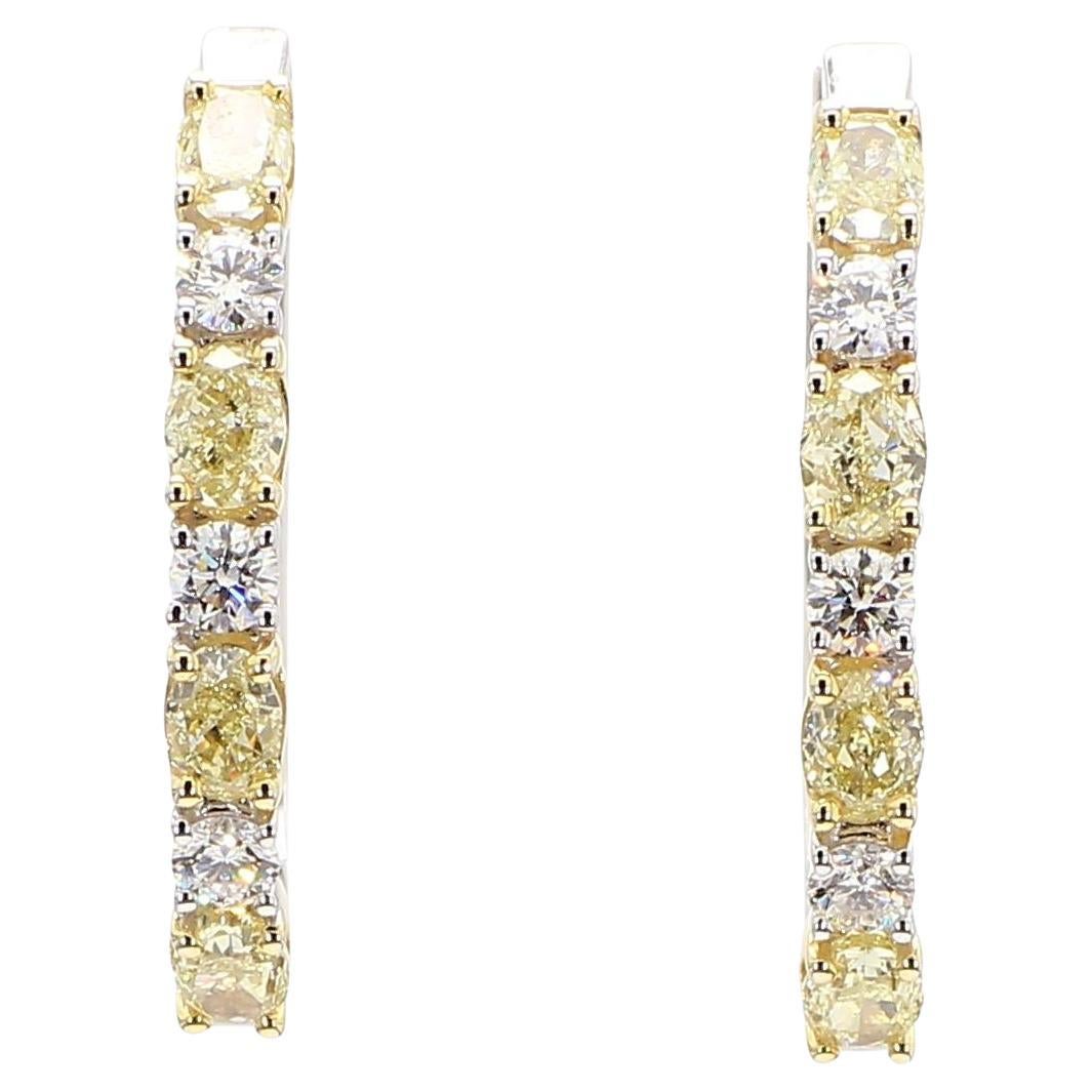 Créoles en or jaune naturel ovale de 2.40 carats poids total en vente