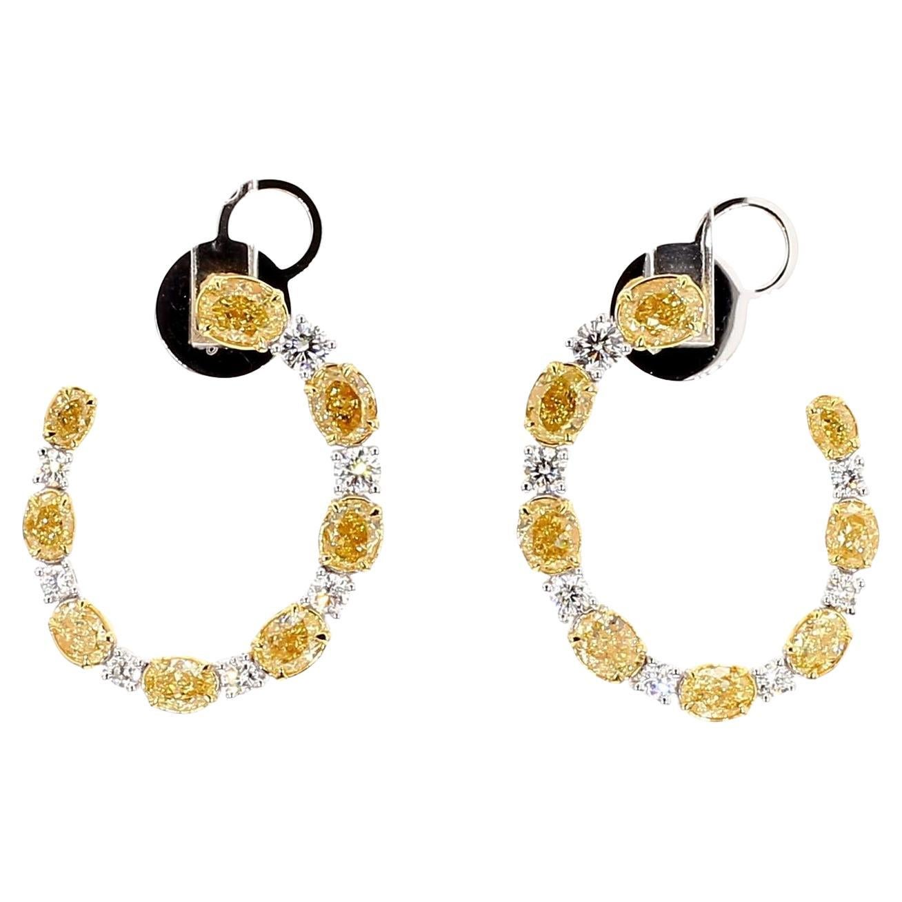 Natürlicher gelber ovaler Diamant 4.14 Karat TW Gold-Ohrstecker
