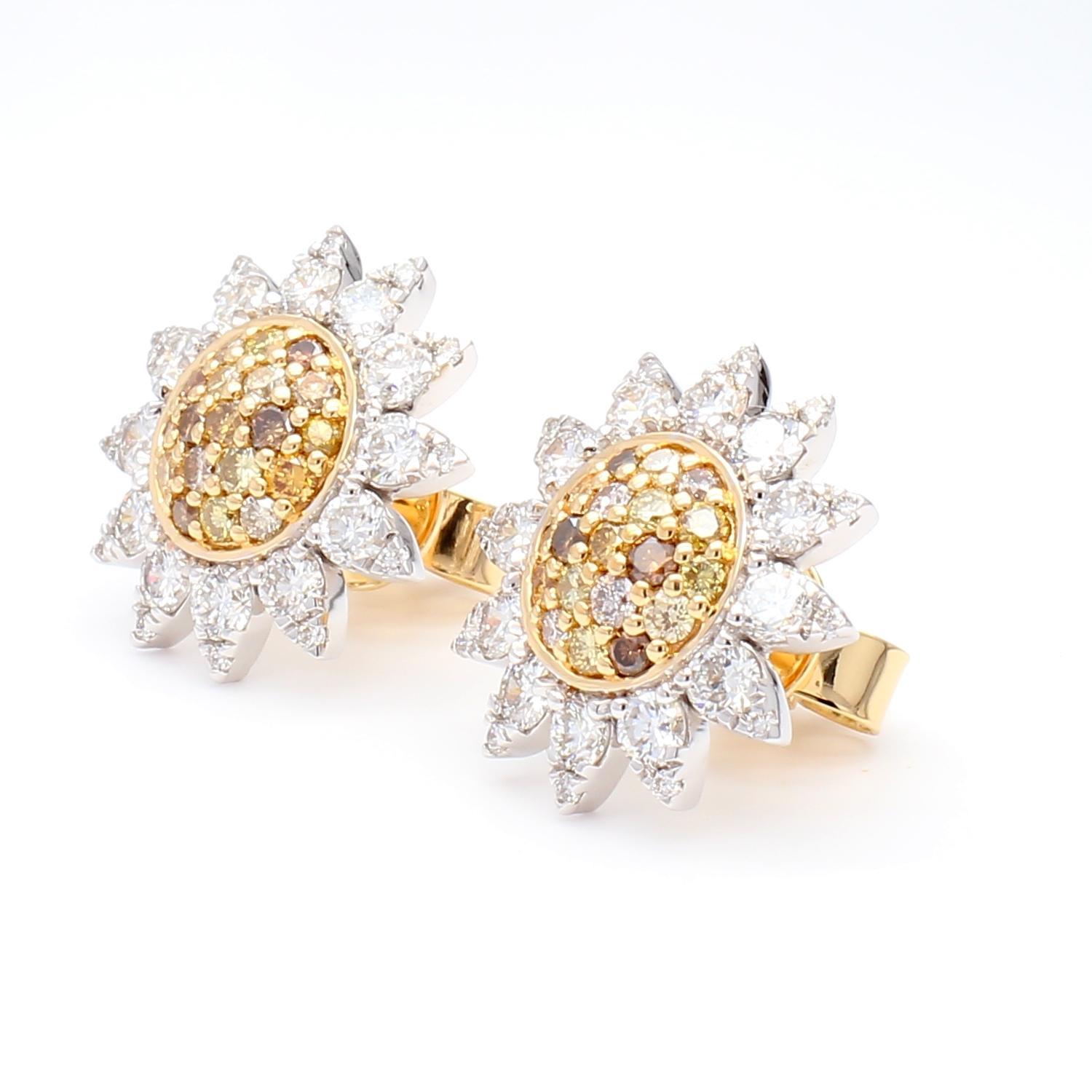 Les boucles d'oreilles classiques en diamant de Raregemworld. Monté dans une belle monture en or jaune et blanc 18 carats avec une mêlée de diamants jaunes ronds naturels et une mêlée de diamants blancs ronds naturels. Ces boucles d'oreilles sont