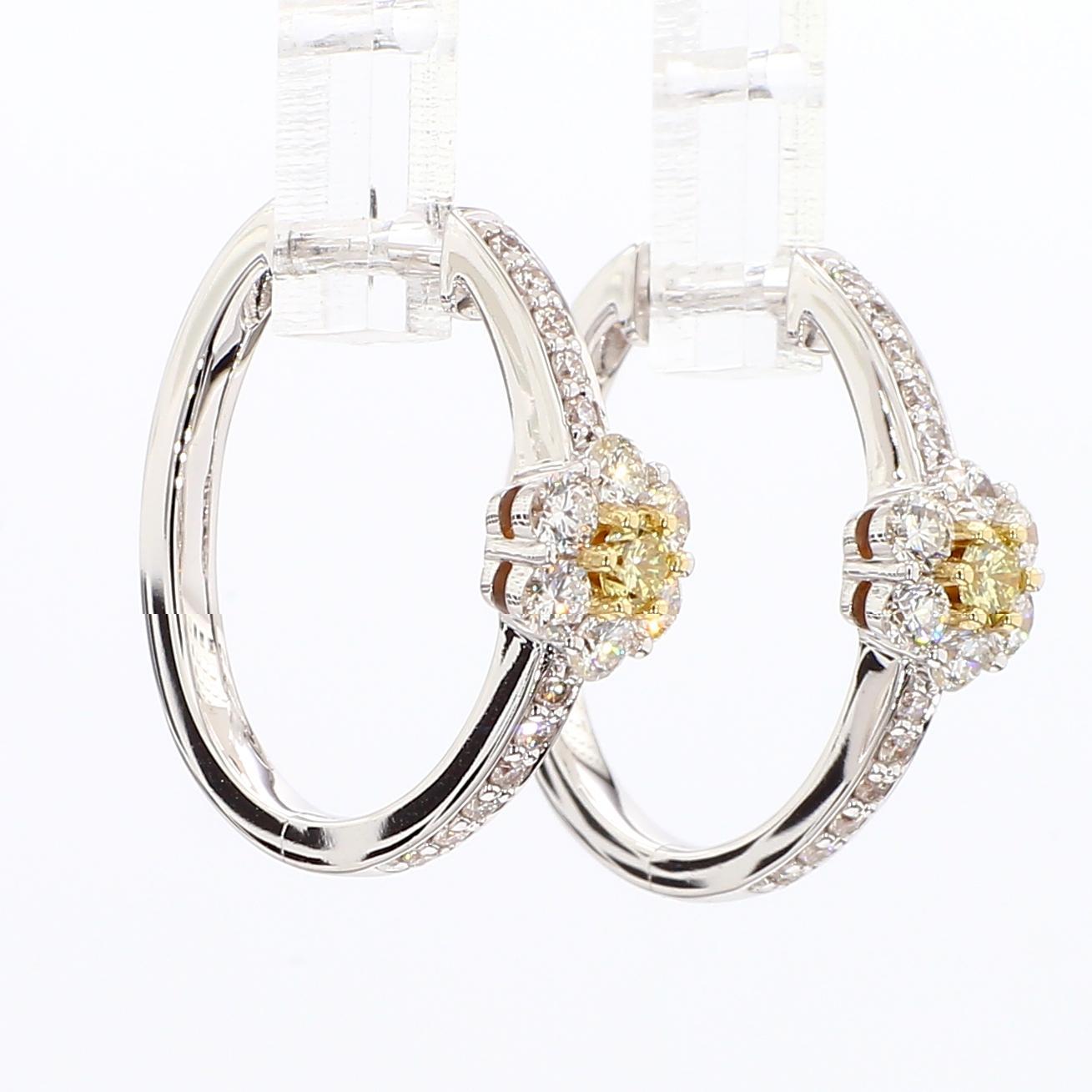 Les boucles d'oreilles classiques en diamant de Raregemworld. Montée dans une belle monture en or jaune et blanc 18 carats avec des diamants jaunes de taille ronde naturelle entourés d'une mêlée de diamants blancs de taille ronde naturelle. Ces